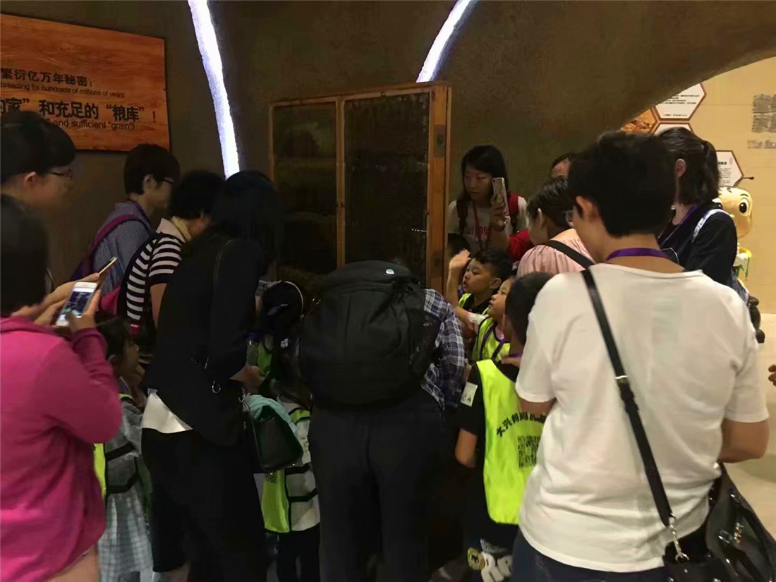 psb (7).jpg psb (7).jpg